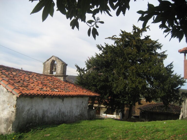 Capilla de San Antonio y Tejo de Antuñana