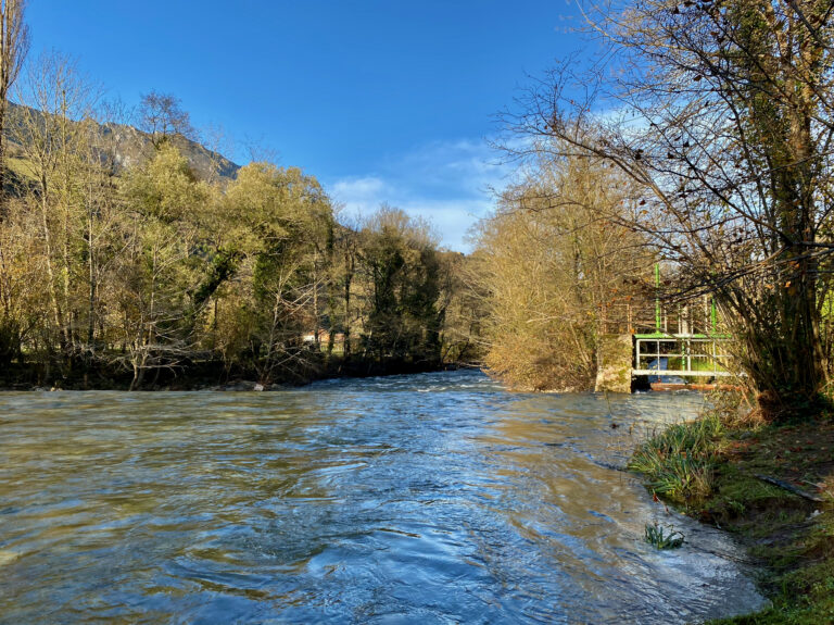 Escala Salmonera de Silviella