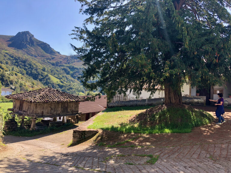 Iglesia y tejo de Samartín d´Ondes